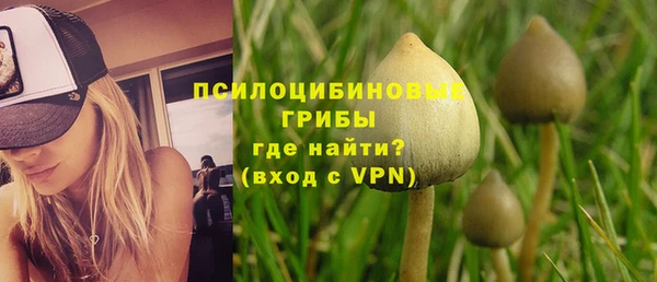 не бодяженный Армянск